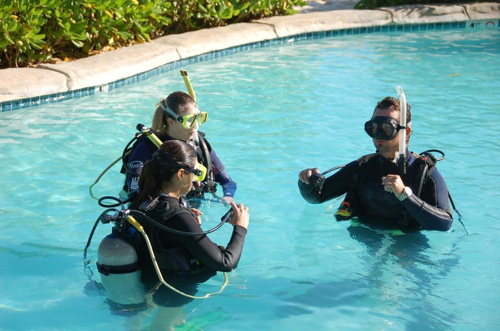 Castaways Cayman